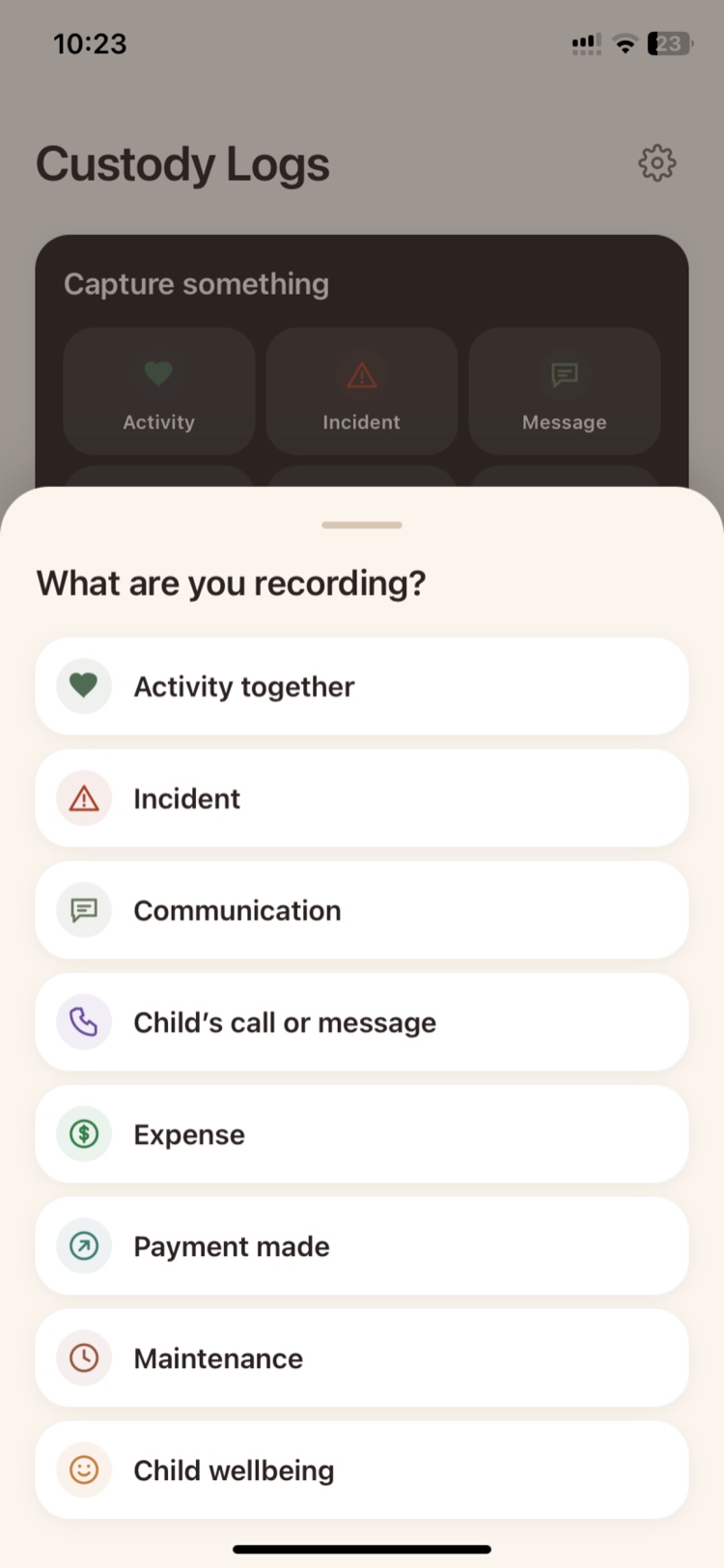 The capture sheet: activity together, incident, communication, child's call or message, expense, payment made, maintenance, child wellbeing